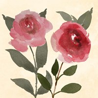 Dreamy Bloom 1 Fine Art Print