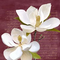 Burgundy Magnolia II Framed Print