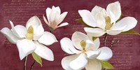 Burgundy Magnolia Fine Art Print