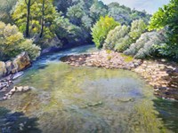 Ansa nel torrente Fine Art Print