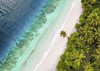 Tropical Beach, Aerial View Fine Art Print