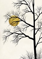 Golden Sunset Fine Art Print