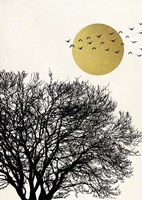 Migrant Birds I Fine Art Print