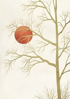 Red Sunset Fine Art Print