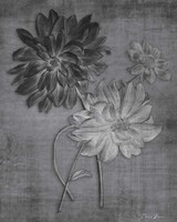 Tranquil Botanical 11 Fine Art Print
