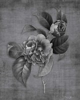 Tranquil Botanical 21 Fine Art Print