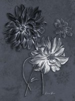 Tranquil Botanical 1 Fine Art Print