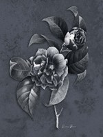 Tranquil Botanical 2 Fine Art Print