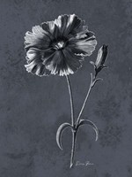 Tranquil Botanical 3 Fine Art Print