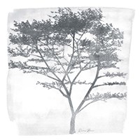 Tree 1 Fine Art Print