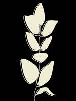 Natural 2 Fine Art Print