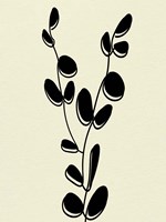 Natural 3 Framed Print