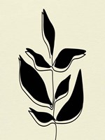 Natural 4 Framed Print