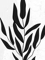 Plaster Leaves 2 Fine Art Print