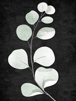 Stems 1 Fine Art Print