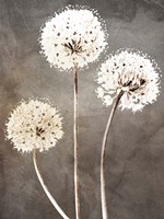 Stand 1 Fine Art Print