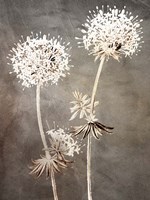 Stand 2 Fine Art Print