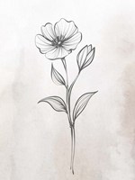 Stone Floral 2 Fine Art Print