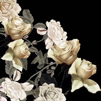 Elegance 1 Fine Art Print