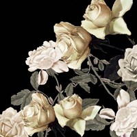 Elegance 2 Fine Art Print