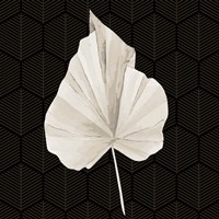 On Black 1 Fine Art Print