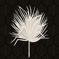 On Black 2 Fine Art Print