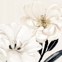 Blossom Fine Art Print