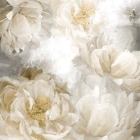 Peony Abstract Fine Art Print