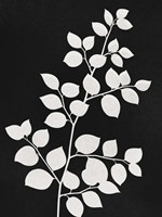 Silhouetted Growth 2 Fine Art Print