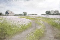 Country Roads Fine Art Print