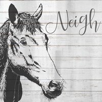 Neigh Fine Art Print