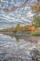 Bayport Fall Fine Art Print