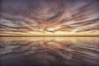 Future Omen Fine Art Print