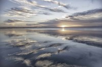 Fronts Of Spirits Fine Art Print