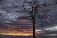 Distorted Solution Fine Art Print