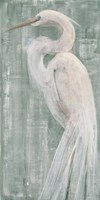 Coastal Egret II Green Fine Art Print
