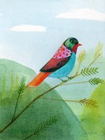 Colorful Birds IV Framed Print