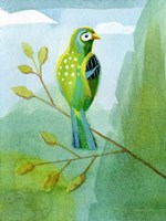 Colorful Birds III Framed Print