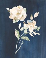 White Florals of Summer IV Framed Print