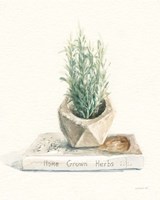 Grown at Home I Cream Fine Art Print