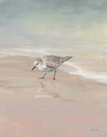 Shorebirds on the Sand III Framed Print