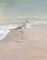 Shorebirds on the Sand II Framed Print