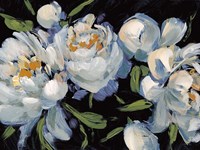 Peony Season II Fine Art Print