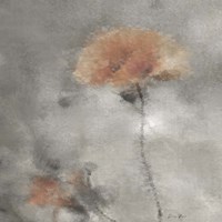 Two Poppies 2 Fine Art Print