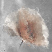 Single Poppy 1 Fine Art Print