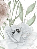 Floral Bloom Panel 2 Fine Art Print