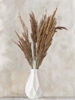 Pampass Vase 2 Fine Art Print