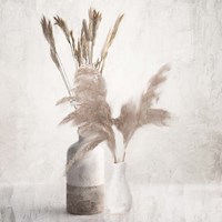 Dried Vases Fine Art Print