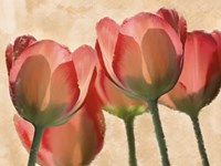 Battles Of Romance Fine Art Print