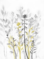 Illuminating Growth 1 Fine Art Print